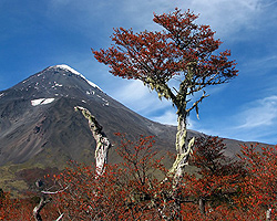 Volcán Lanin