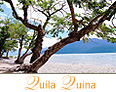 Quila Quina