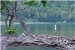 Pesca con Mosca - San Martin de los Andes - Argentina