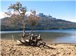 Lago Lacar - San Martin de los Andes - Argentina