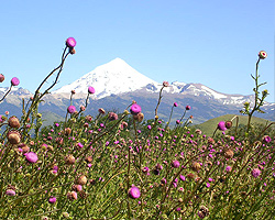 Volcán Lanin