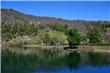 Quila Quina - San Martin de los Andes - Argentina