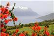 Lago Epulafquen - San Martin de los Andes - Argentina