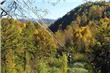 Canopy  - San Martin de los Andes - Argentina