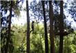 Canopy - San Martin de los Andes - Argentina