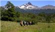 Trekking - San Martin de los Andes - Argentina