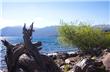 Lago Lolog - San Martin de los Andes - Argentina