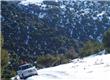 4 x 4 - San Martin de los Andes - Argentina