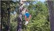 Canopy  - San Martin de los Andes - Argentina