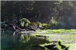 Parque Nacional Lanin - San Martin de los Andes - Argentina