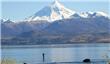 Boca del Chimeu&#237;n - Lan&#237;n de fondo - San Martin de los Andes - Argentina