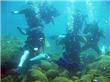 Buceo - San Martin de los Andes - Argentina