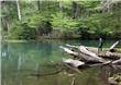 Termas - San Martin de los Andes - Argentina