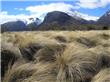 Parque Nacional Lanin - San Martin de los Andes - Argentina
