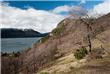 Quila Quina - San Martin de los Andes - Argentina