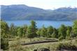 Quila Quina - San Martin de los Andes - Argentina