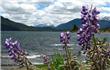 Lago Lolog - San Martin de los Andes - Argentina