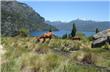 Parque Nacional Lanin - San Martin de los Andes - Argentina